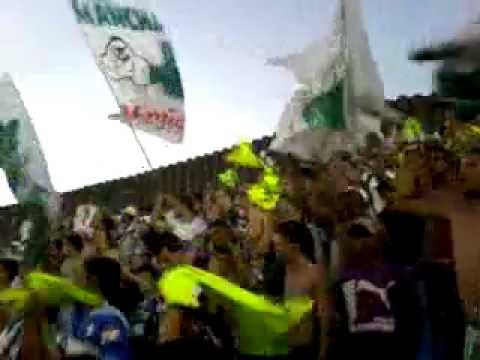 PALMEIRAS x galo 2010 em Ipatinga/MG - Comemoração do gol na Mancha Verde