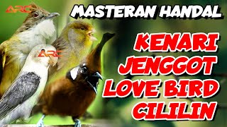 Download lagu KENARI - CUCAK JENGGOT - LOVE BIRD - CILILIN | MASTERAN MEWA SUPER PEDES mp3