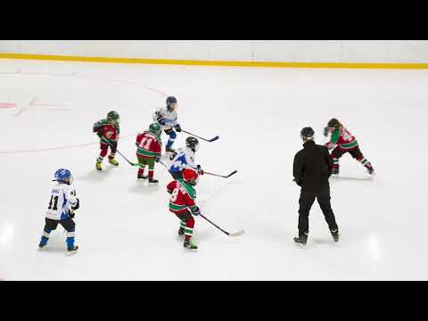 F2 LEIJONALIIGA - HJK White VS Karhu-Kissat Lions