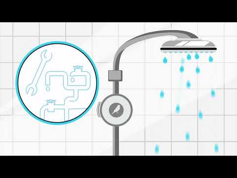 Shower Canary video thumbnail