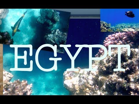 Marsa Alam, Al Bahr Al Ahmar, Egypt