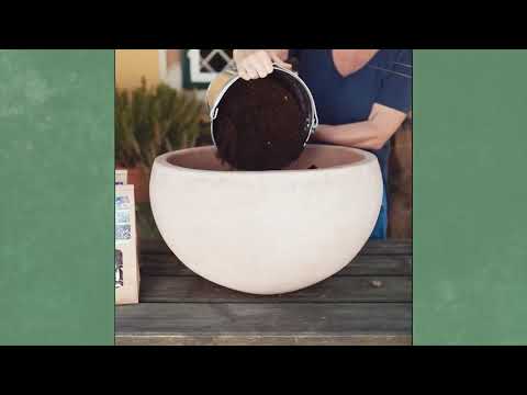 Gartln mit Starkl: Tipp - So macht man einen geeigneten Wasserspeicher für Pflanzen