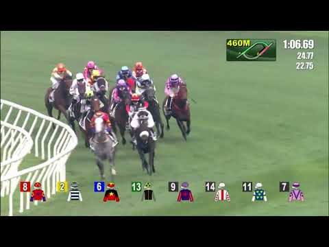 20/3/2022 (515) Running Glory -J Moreira