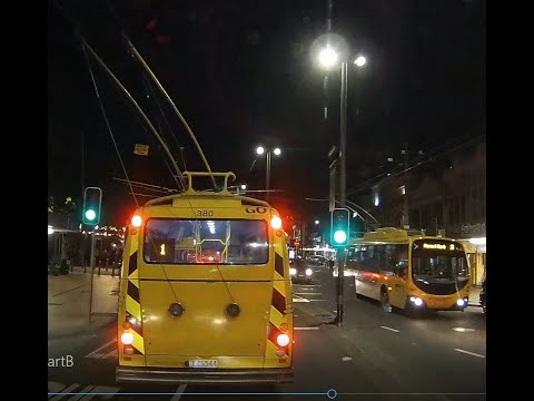 Wellington Trolley Buses 19