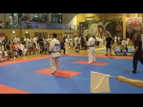 levan tsintsadze austrian open 2015