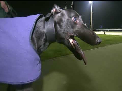 2017 ECC TIMBER STANDARD DIV 2 - T1 FOREST MIKE