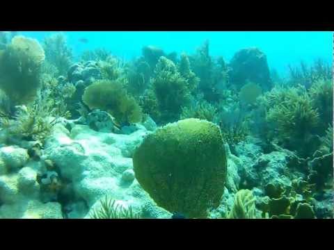 Islamorada Key Largo Reef Dive, Gopro HD Hero 2 with BlurFix (Full Dive Video)