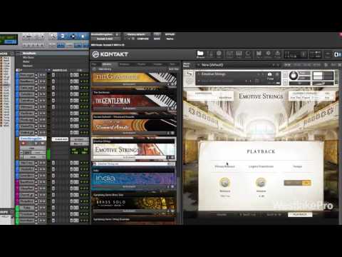 Emotive Strings Review Komplete 11 by Native Instruments | Westlake Pro