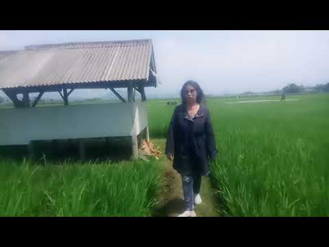 jawaban terbayang bayang