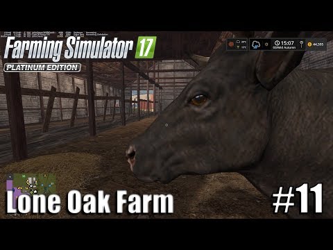 DELIVERING THE COWS| Lone Oak Farm | Timelapse #11 | Farming Simulator 17