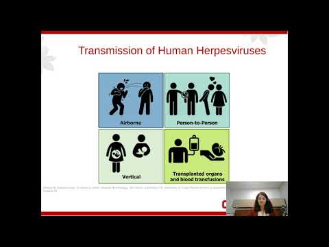 Varicella-Zoster Virus (VZV):One Pathogen with Multiple Clinical Manifestations
