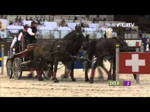 FEI World Cup Driving 2012/13 Geneva - Werner Ulrich 3rd Place