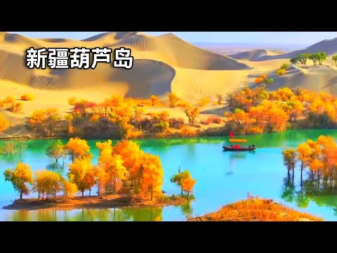 走进国内胡杨林的天花板新疆葫芦岛，沙漠里的世外桃源，这样的景色你会心动吗？【行走世界的北京老刘】