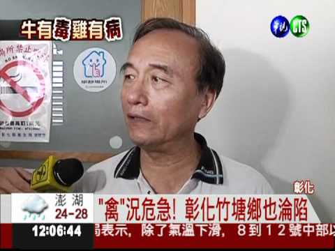 彰化第3地 竹塘鄉"禽"況危急