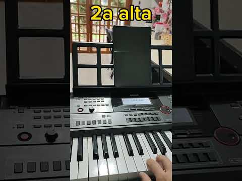 Divisão de Vozes - LOUVAI O NOME - Tom C