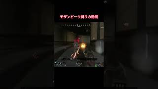 モザンビーク縛りの動画