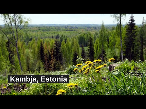 Kambja terviserada - Kambja Recreational Area, Estonia (4K video)