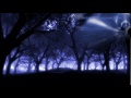 BERNWARD KOCH - Nightfall 