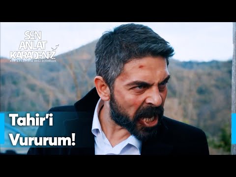 Mustafa deliye döndü! - Sen Anlat Karadeniz