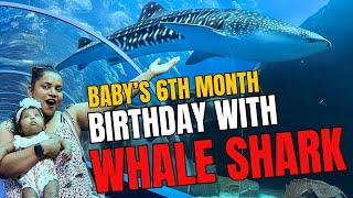 Exploring Georgia Aquarium with Our 6-Month-Old on Her Birthday | IndianMomInUSA_Vlogs