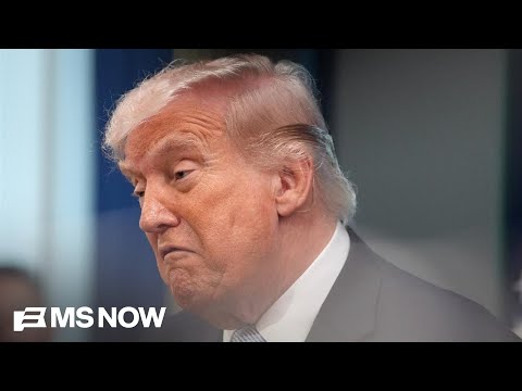 'Unhinged, incoherent': Four-star general slams Trump's 'unacceptable' rhetoric