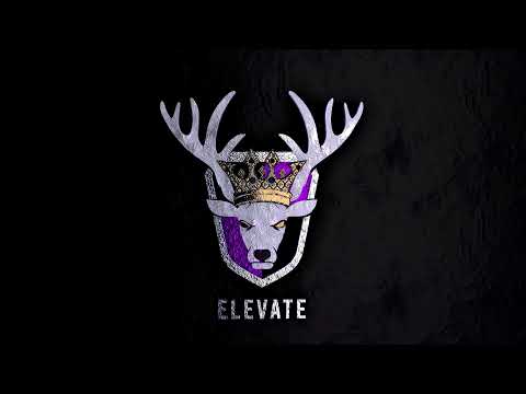 ELEVATE x Guildzinha vs MADE IN BR x Blue Army ZvZ Hand of Justice PoV | Albion Online | ZvZ | Tank