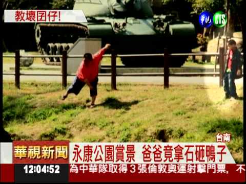父拿石頭砸公園鴨 兒子有樣學樣