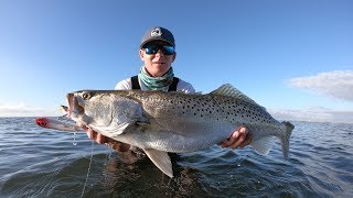 GIANT Speckled Trout- Indian River Lagoon Flats Fishing