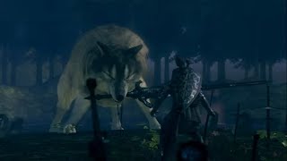 [録画声なし]　初見・リマスター版DARK SOULS -人間性１４こめ -