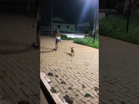 batendo perna na minha cidade em alguns  setor de Nova Glória 🤠