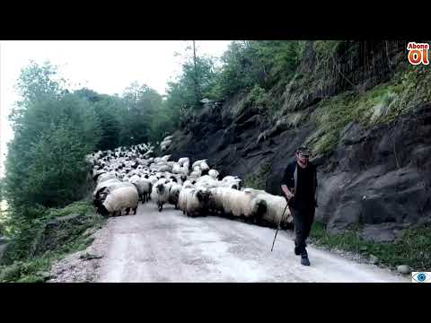 KARADENİZ YOL HAVASI