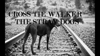 Cross Tie Walker - Creedence cover by The Stray Dogs