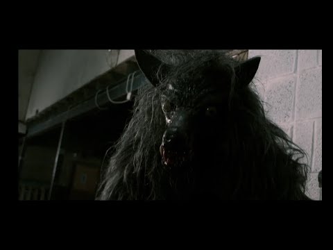 afbeelding Snarling, The