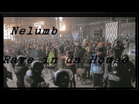 Nelumb - Rave in da House - Live Session