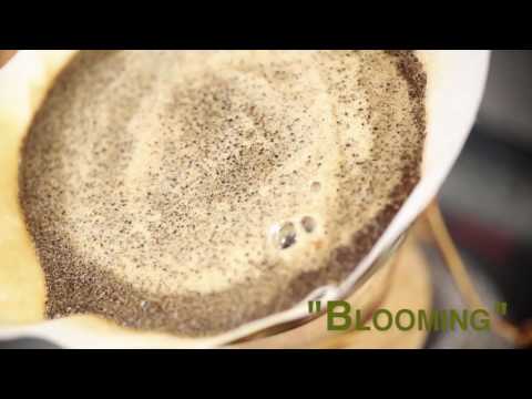 CHEMEX brew with GreatCoffee, Aarhus by Søren Stiller Markussen