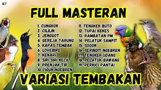 Download lagu 🔴 GACOR PANJANG FULL MASTERAN MURAI BATU GACOR mp3