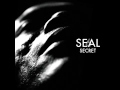 Seal - If I Could Ever Make You Love Me