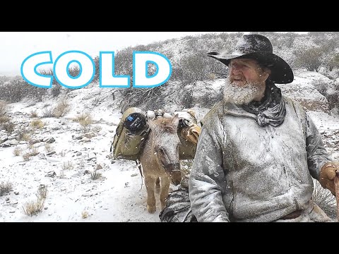 Overnight Solo Camping FREEZING Temps