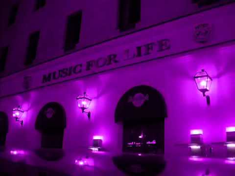 Nidza Bleja - Ona je luda (Lyrics)