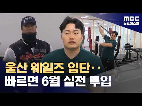'KBO 도전' 최지만‥'신생구단 울산 입단'