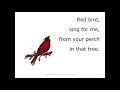 Red Bird