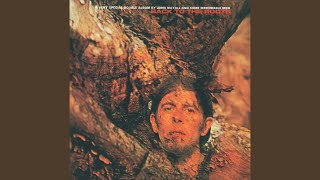 Blue Fox (Album Version)