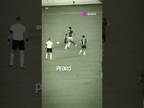 CALMA, PEDRO…O CANOBBIO TEM FAMÍLIA #shorts