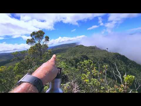 Pihea Vista pela trilha Pihea