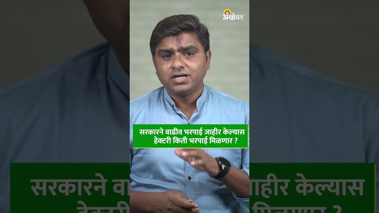 Nuksan Bharpai : भरपाई २ हेक्टरपर्यंत देणार की ३ हेक्टरपर्यंत? हेक्टरी भरपाई किती देणार ? | Agrowon