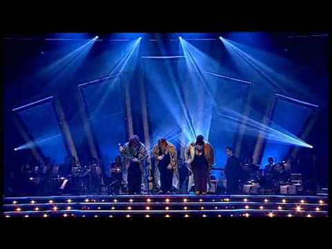 BEATA BEDNARZ - Kici kici