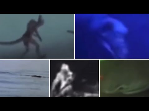 Strange and terrifying Cryptozoology sightings