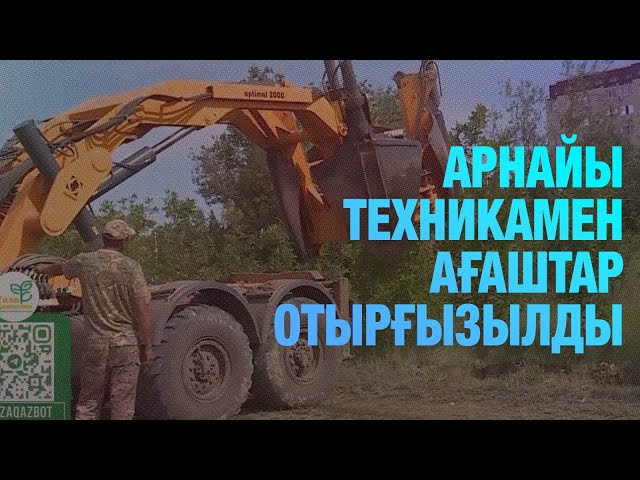 «Таза Қазақстан»: Арнайы техникамен ағаштар отырғызылды