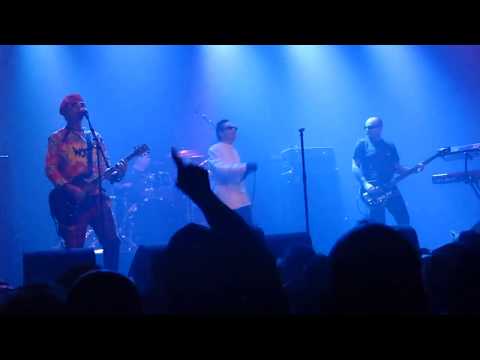 The Damned - Disco Man (Rebellion Amsterdam 2014 Festival, Holland) [HD]