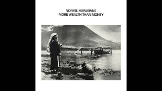 Normil Hawaiians ‎– More Wealth Than Money